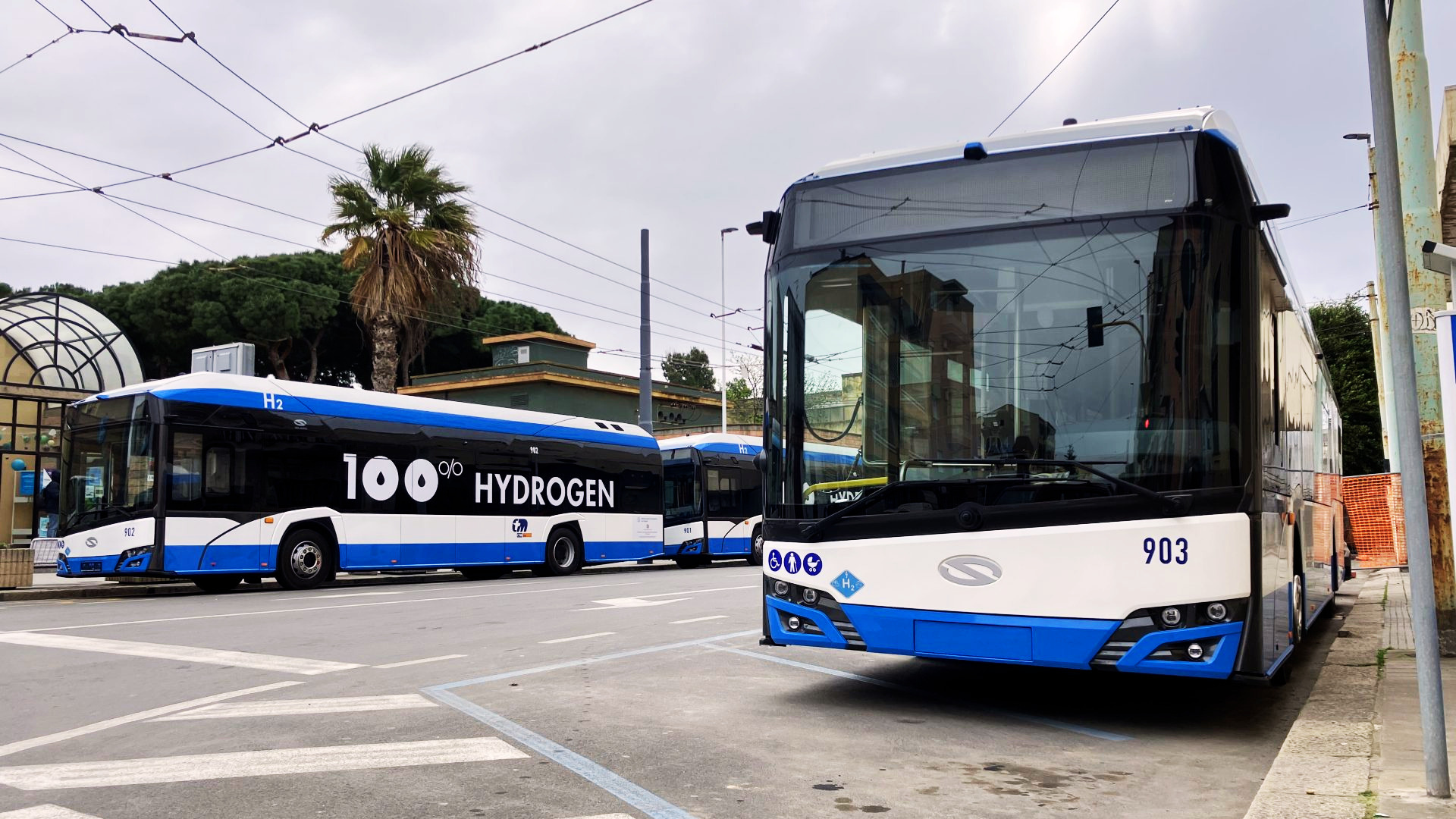 Three blue and white Solaris Urbino 12 zero-emission public transit buses on the streets of Cagliari