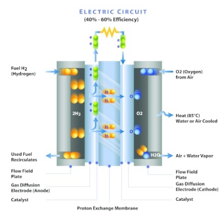 hydrogen fuel cell